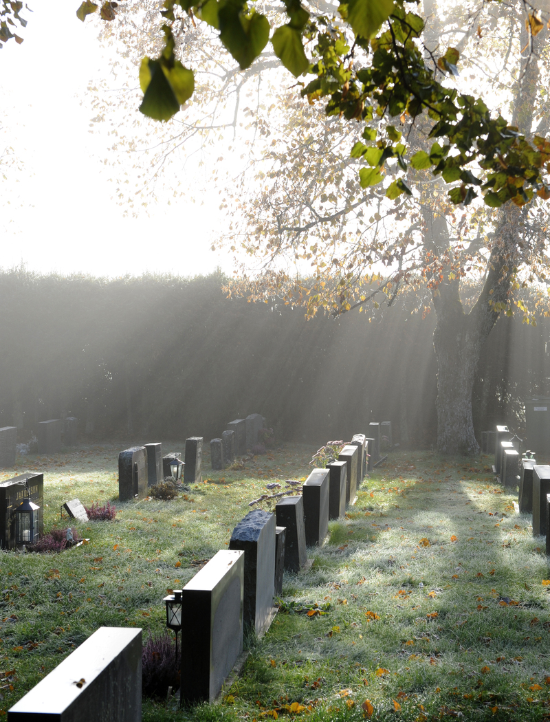 Aurinko paistaa rivissä oleville hautakiville Kemiön hautausmaalla.