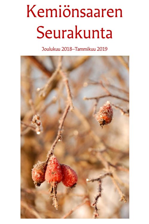 Seurakunnan joululehti_S.jpg